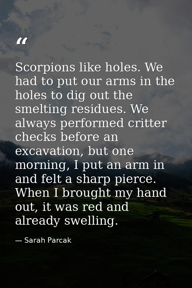 Scorpions like holes. We had to put our arms in the holes to dig out the smelting residues. We always performed critter  — Sarah Parcak