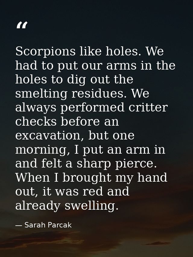 Scorpions like holes. We had to put our arms in the holes to dig out the smelting residues. We always performed critter  — Sarah Parcak