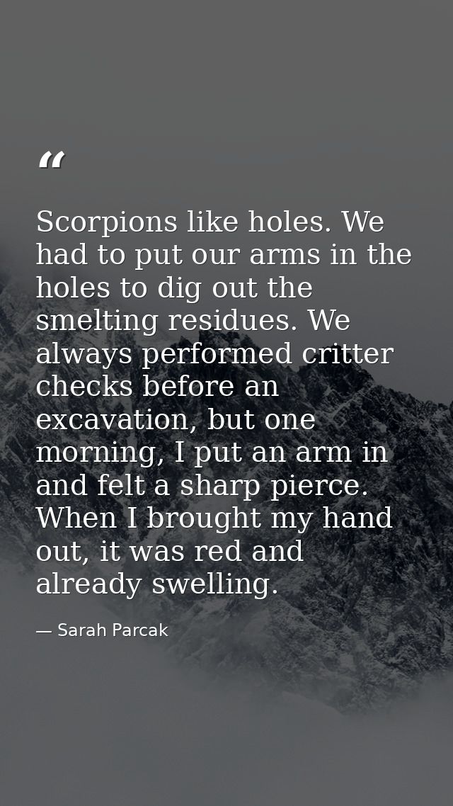 Scorpions like holes. We had to put our arms in the holes to dig out the smelting residues. We always performed critter  — Sarah Parcak