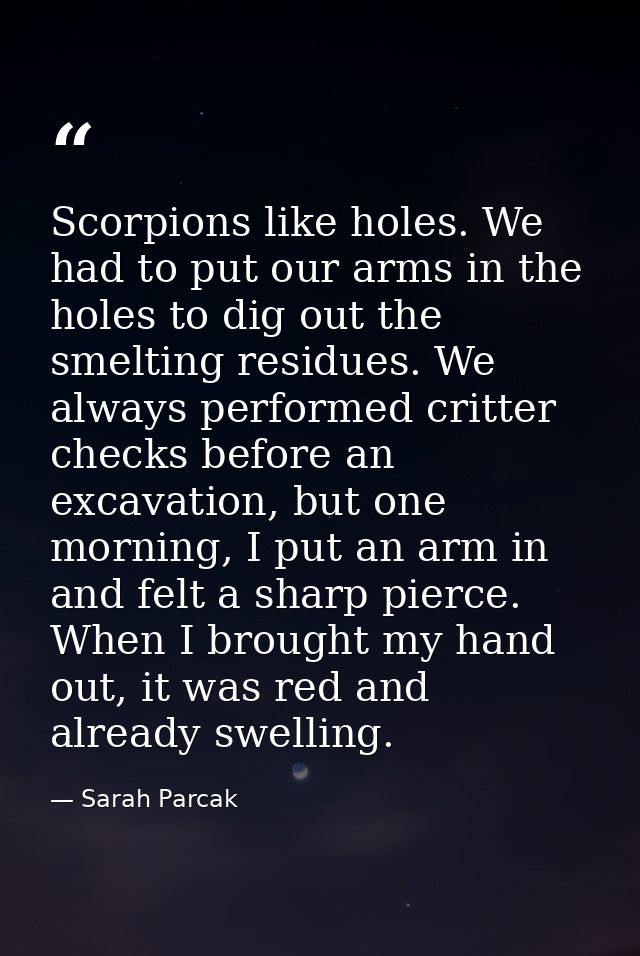 Scorpions like holes. We had to put our arms in the holes to dig out the smelting residues. We always performed critter  — Sarah Parcak