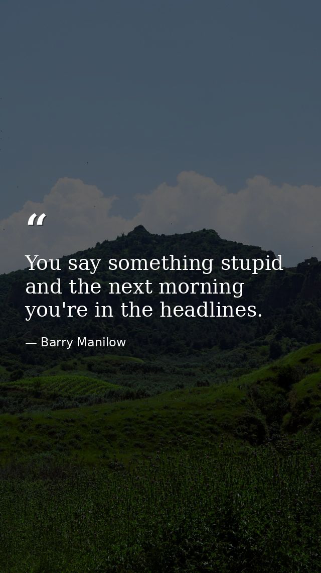 You say something stupid and the next morning you're in the headlines. — Barry Manilow