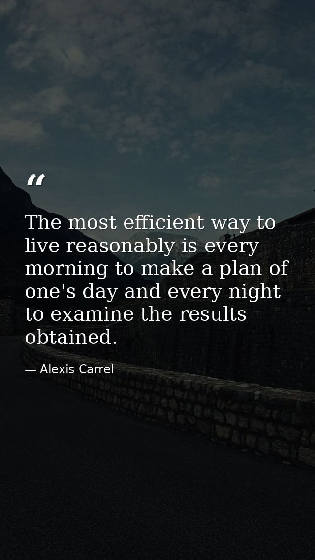 The most efficient way to live reasonably is every morning to make a plan of one's day and every night to examine the re — Alexis Carrel