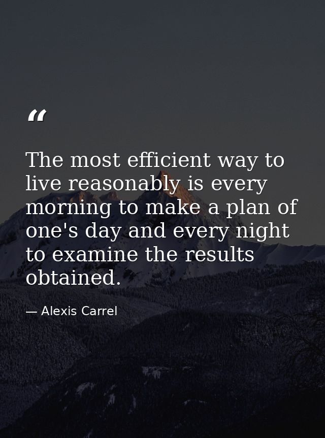 The most efficient way to live reasonably is every morning to make a plan of one's day and every night to examine the re — Alexis Carrel