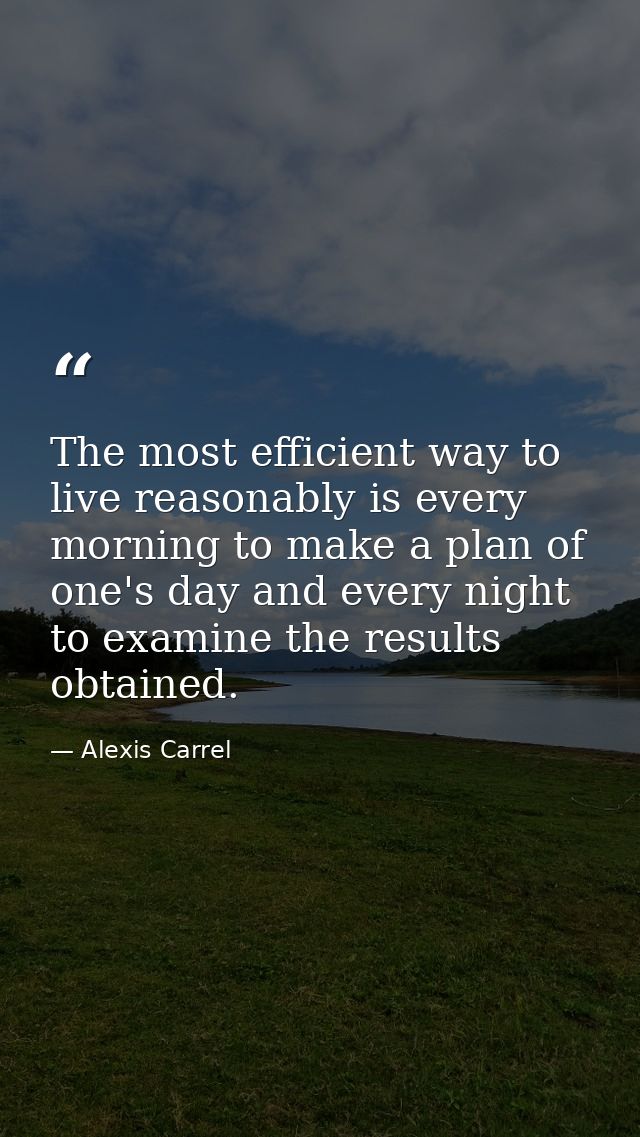 The most efficient way to live reasonably is every morning to make a plan of one's day and every night to examine the re — Alexis Carrel