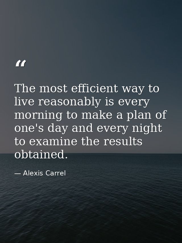 The most efficient way to live reasonably is every morning to make a plan of one's day and every night to examine the re — Alexis Carrel