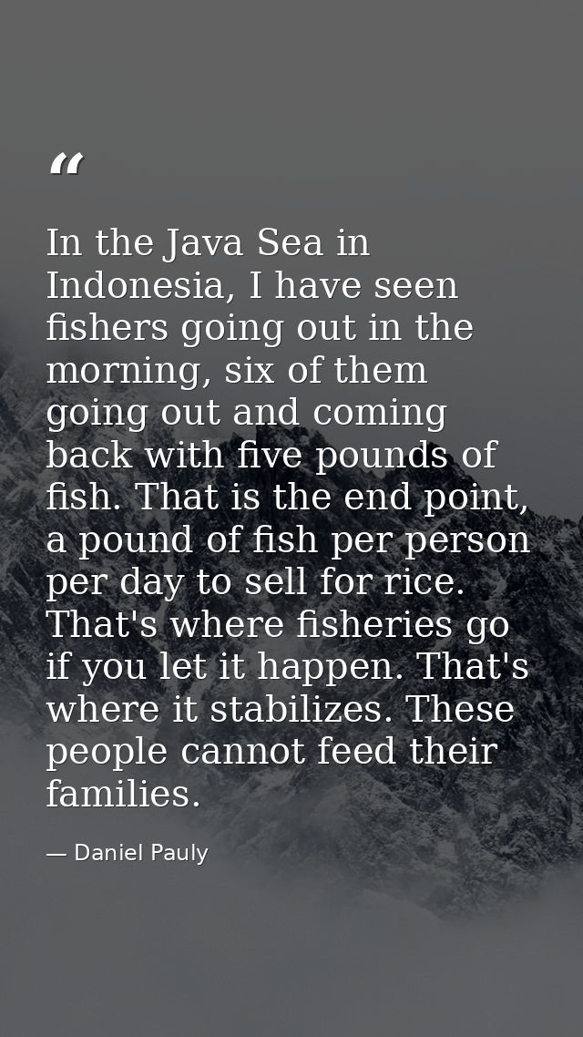 In the Java Sea in Indonesia, I have seen fishers going out in the morning, six of them going out and coming back with f — Daniel Pauly