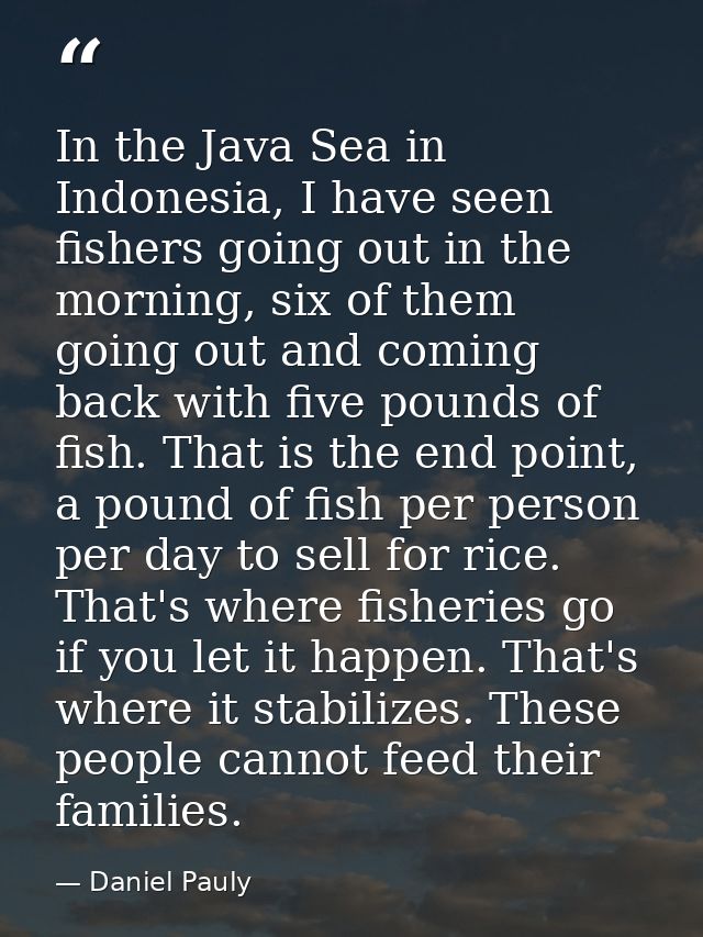 In the Java Sea in Indonesia, I have seen fishers going out in the morning, six of them going out and coming back with f — Daniel Pauly