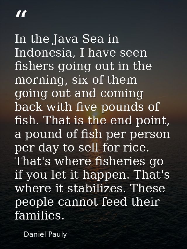 In the Java Sea in Indonesia, I have seen fishers going out in the morning, six of them going out and coming back with f — Daniel Pauly