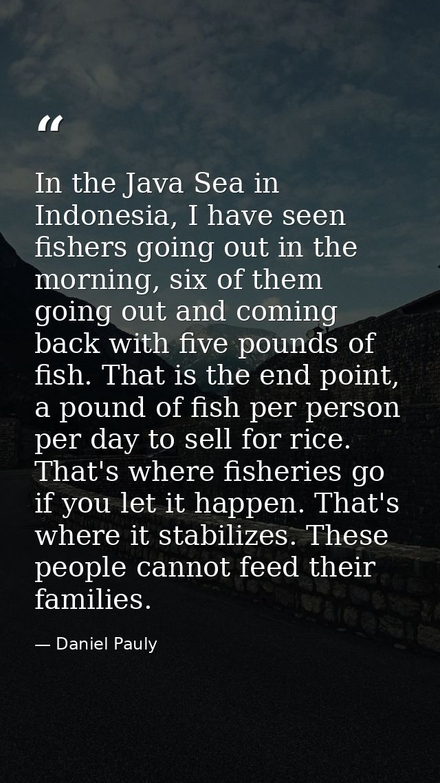 In the Java Sea in Indonesia, I have seen fishers going out in the morning, six of them going out and coming back with f — Daniel Pauly