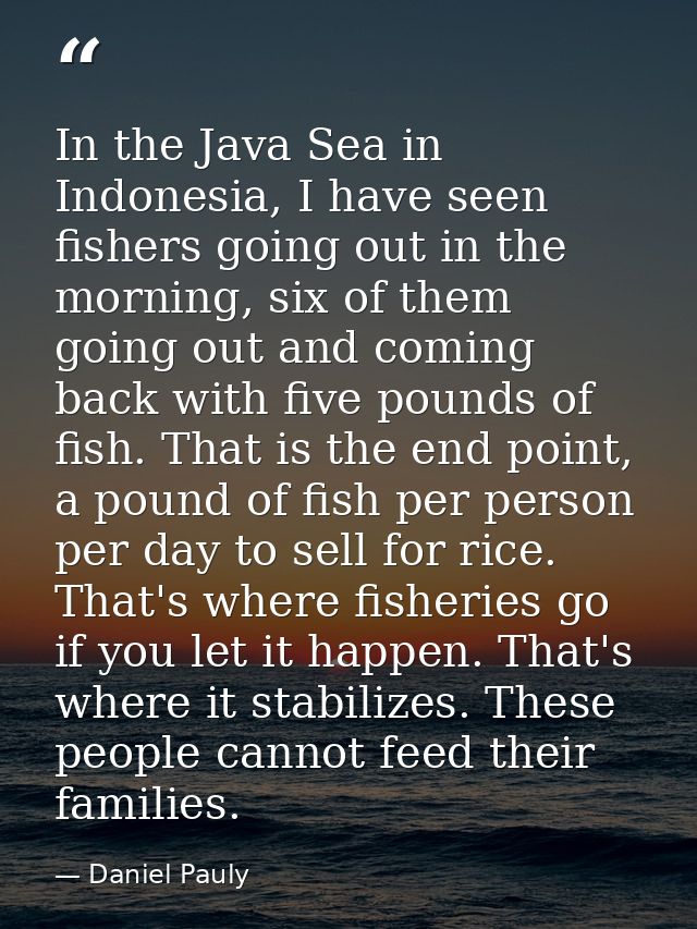 In the Java Sea in Indonesia, I have seen fishers going out in the morning, six of them going out and coming back with f — Daniel Pauly
