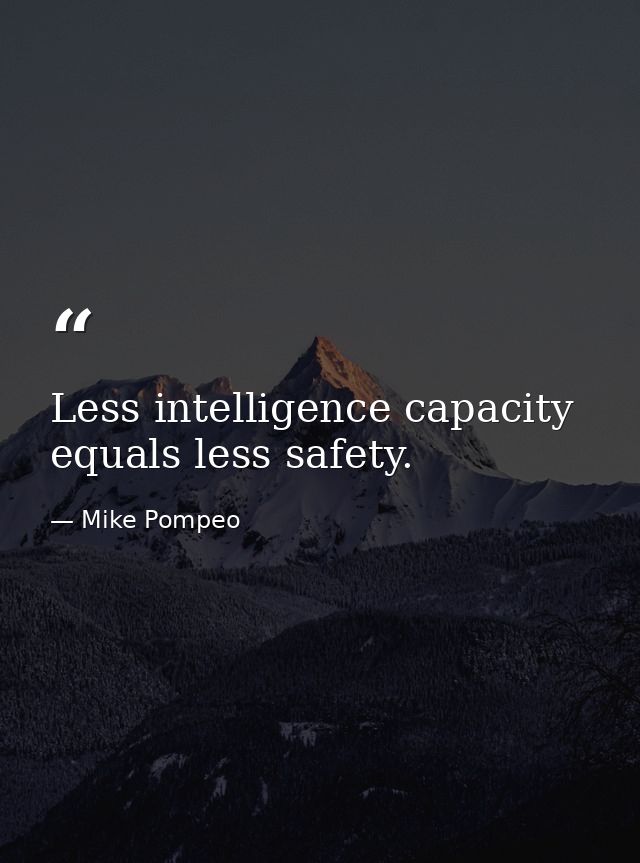 Less intelligence capacity equals less safety. — Mike Pompeo