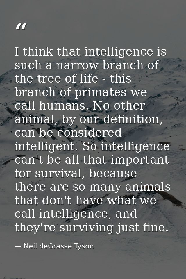 I think that intelligence is such a narrow branch of the tree of life - this branch of primates we call humans. No other — Neil deGrasse Tyson