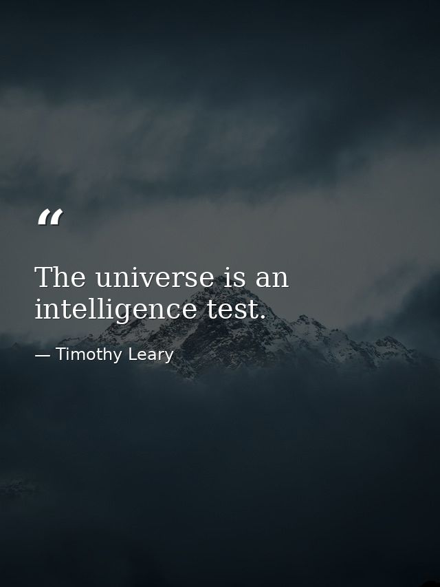 The universe is an intelligence test. — Timothy Leary