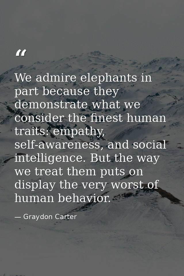 We admire elephants in part because they demonstrate what we consider the finest human traits: empathy, self-awareness,  — Graydon Carter