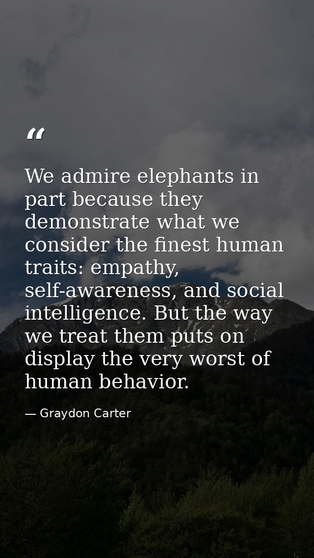 We admire elephants in part because they demonstrate what we consider the finest human traits: empathy, self-awareness,  — Graydon Carter