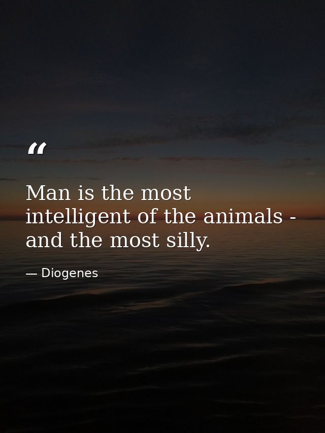 Man is the most intelligent of the animals - and the most silly. — Diogenes