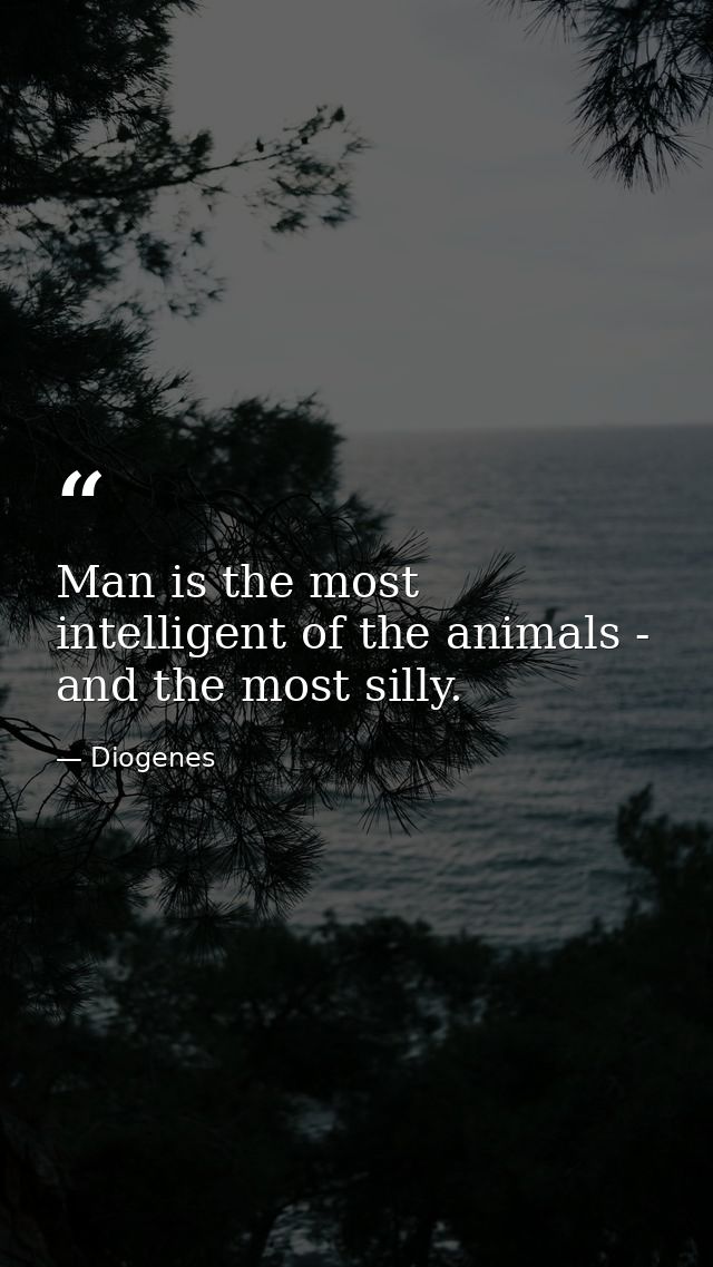 Man is the most intelligent of the animals - and the most silly. — Diogenes