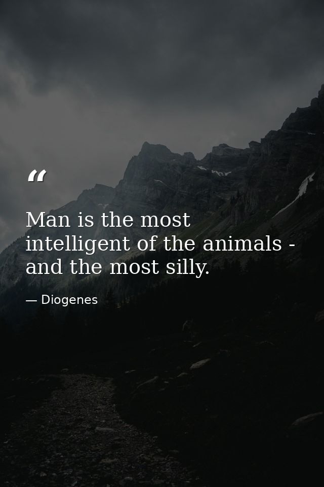Man is the most intelligent of the animals - and the most silly. — Diogenes