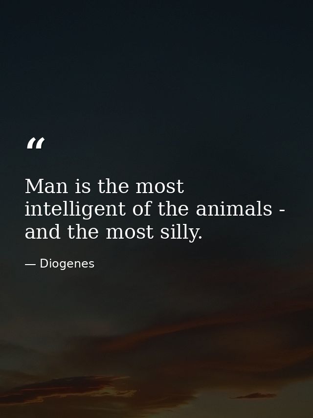 Man is the most intelligent of the animals - and the most silly. — Diogenes