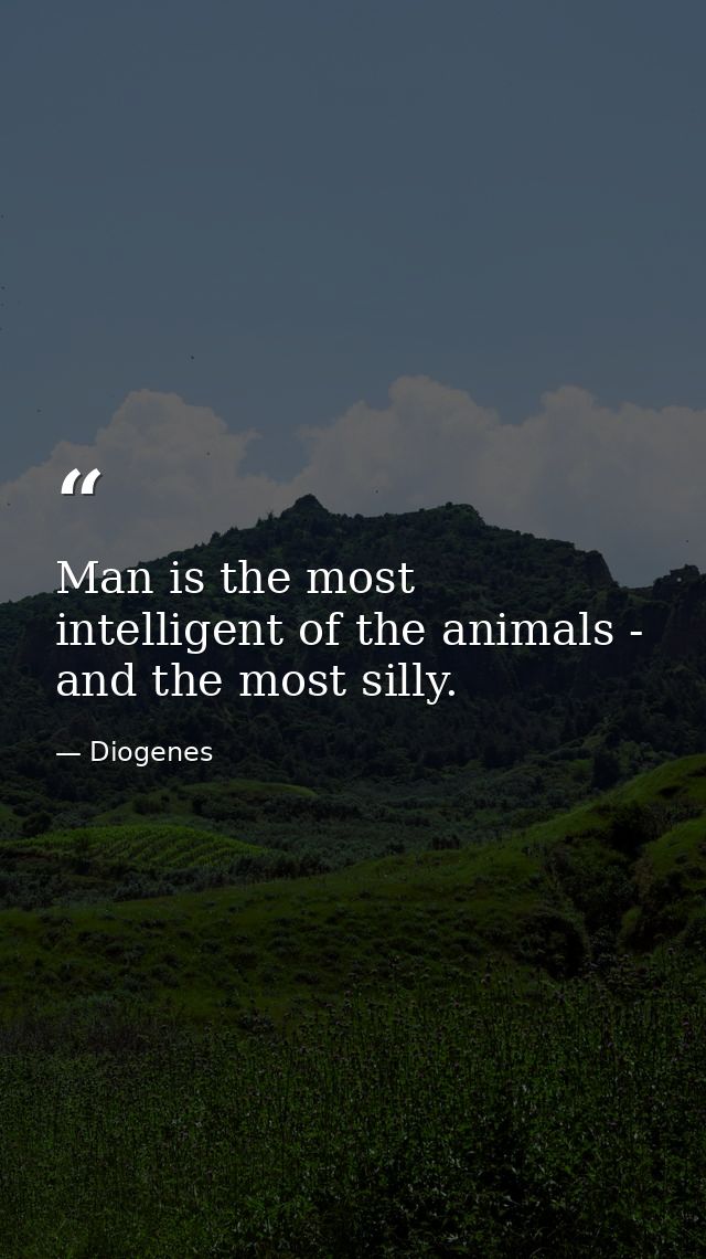 Man is the most intelligent of the animals - and the most silly. — Diogenes