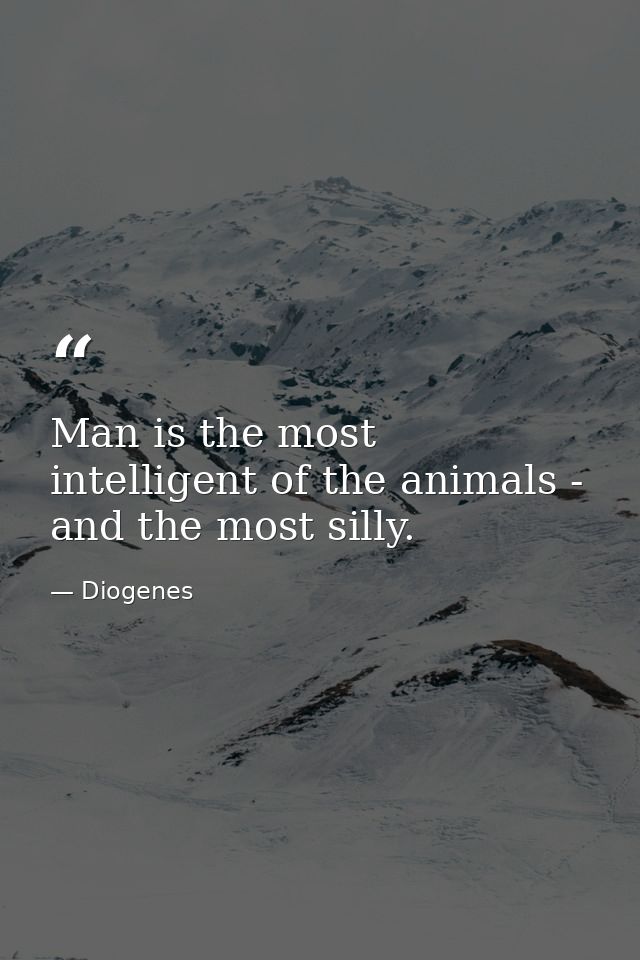 Man is the most intelligent of the animals - and the most silly. — Diogenes