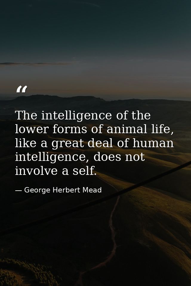 The intelligence of the lower forms of animal life, like a great deal of human intelligence, does not involve a self. — George Herbert Mead