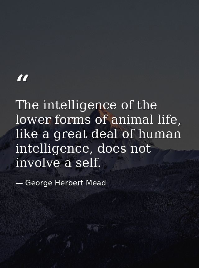 The intelligence of the lower forms of animal life, like a great deal of human intelligence, does not involve a self. — George Herbert Mead