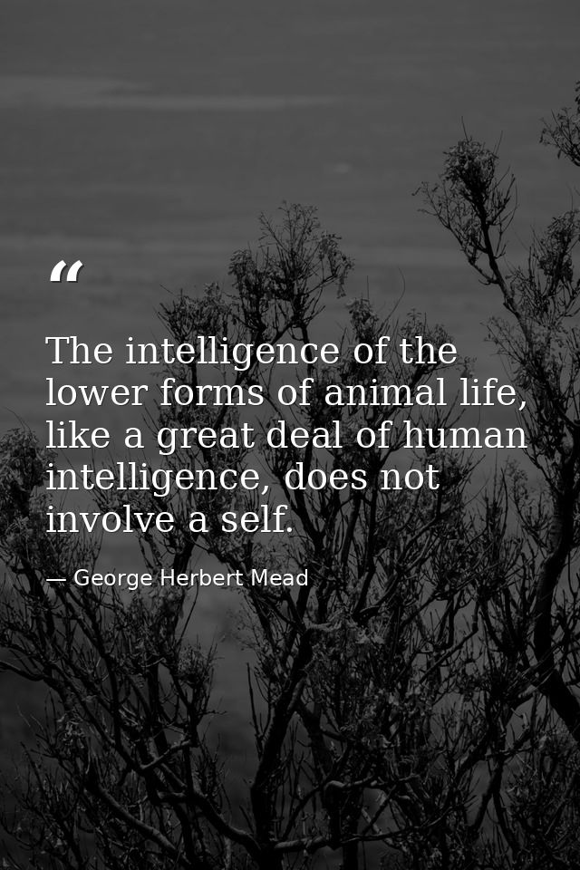 The intelligence of the lower forms of animal life, like a great deal of human intelligence, does not involve a self. — George Herbert Mead