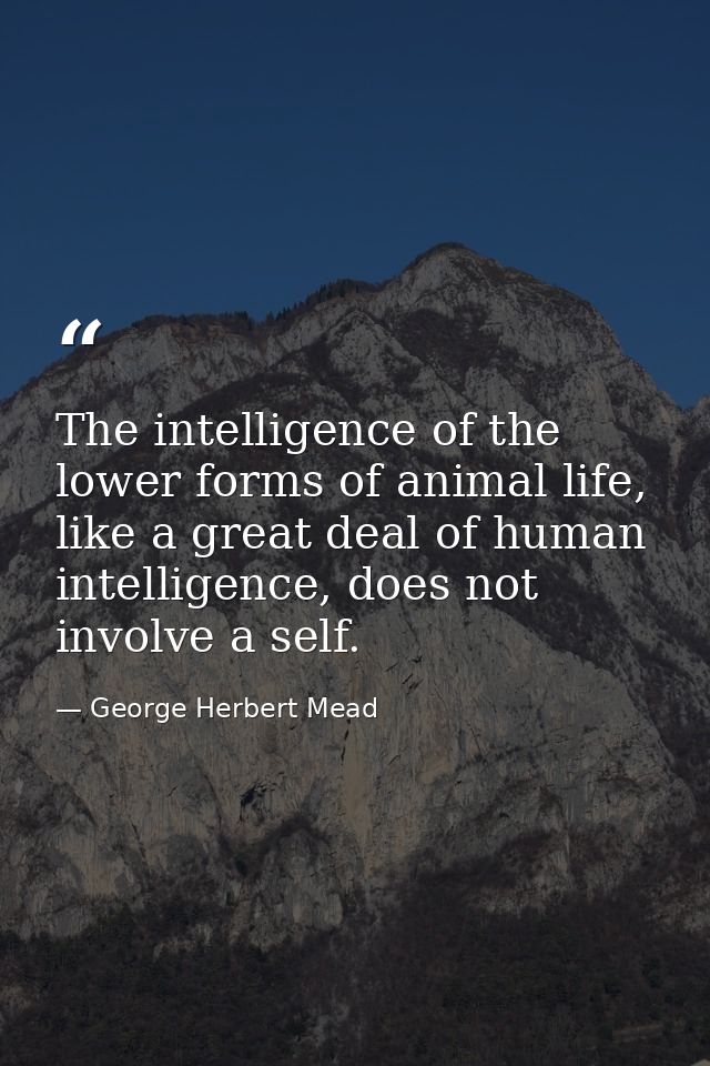 The intelligence of the lower forms of animal life, like a great deal of human intelligence, does not involve a self. — George Herbert Mead