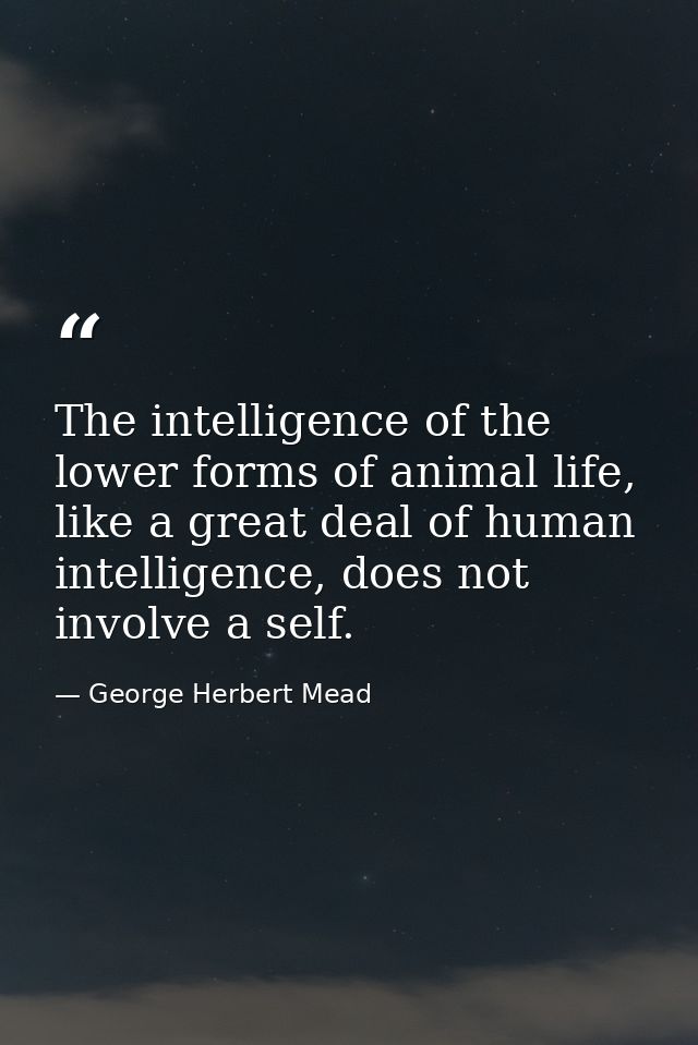 The intelligence of the lower forms of animal life, like a great deal of human intelligence, does not involve a self. — George Herbert Mead