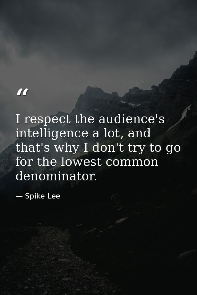 I respect the audience's intelligence a lot, and that's why I don't try to go for the lowest common denominator. — Spike Lee