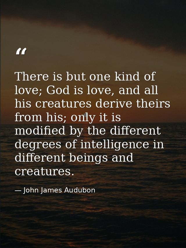 There is but one kind of love; God is love, and all his creatures derive theirs from his; only it is modified by the dif — John James Audubon