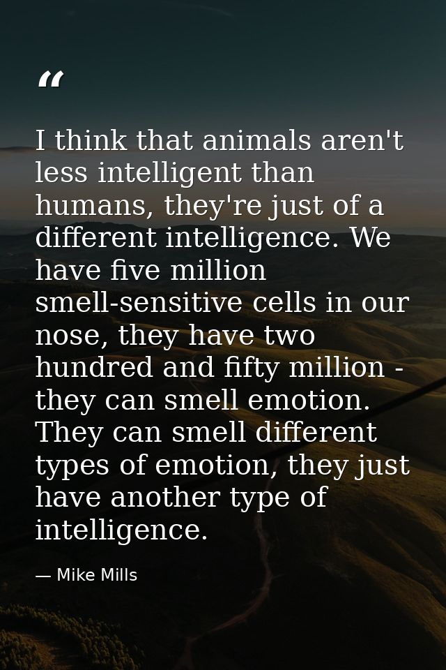 I think that animals aren't less intelligent than humans, they're just of a different intelligence. We have five million — Mike Mills