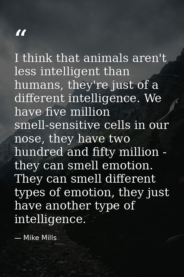 I think that animals aren't less intelligent than humans, they're just of a different intelligence. We have five million — Mike Mills