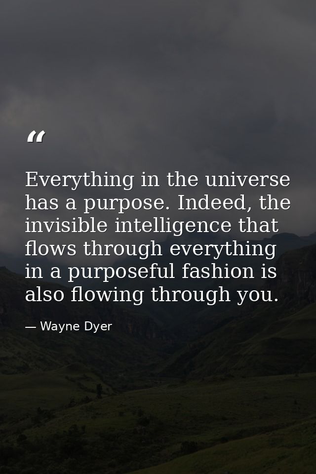 Everything in the universe has a purpose. Indeed, the invisible intelligence that flows through everything in a purposef — Wayne Dyer