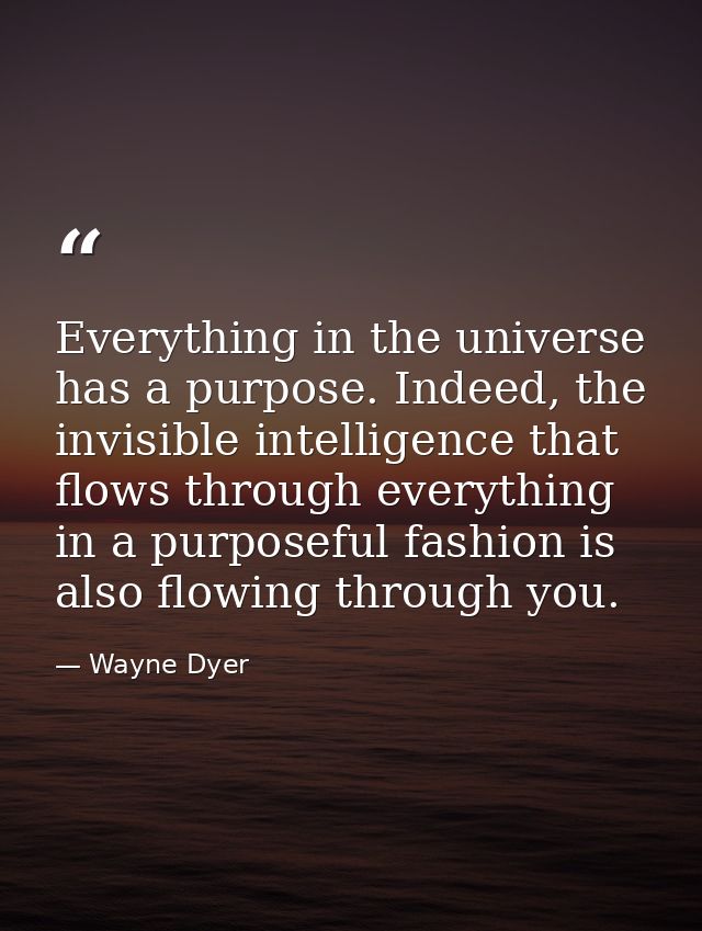 Everything in the universe has a purpose. Indeed, the invisible intelligence that flows through everything in a purposef — Wayne Dyer