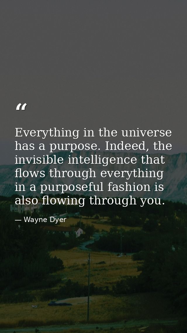 Everything in the universe has a purpose. Indeed, the invisible intelligence that flows through everything in a purposef — Wayne Dyer