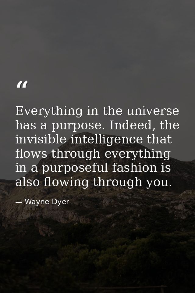 Everything in the universe has a purpose. Indeed, the invisible intelligence that flows through everything in a purposef — Wayne Dyer