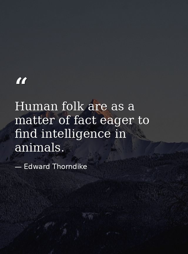 Human folk are as a matter of fact eager to find intelligence in animals. — Edward Thorndike