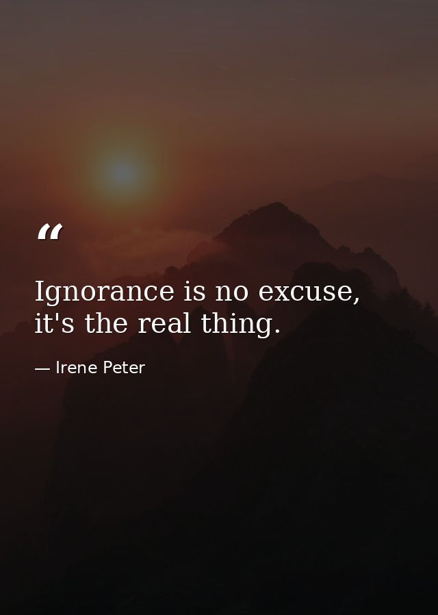 Ignorance is no excuse, it's the real thing. — Irene Peter