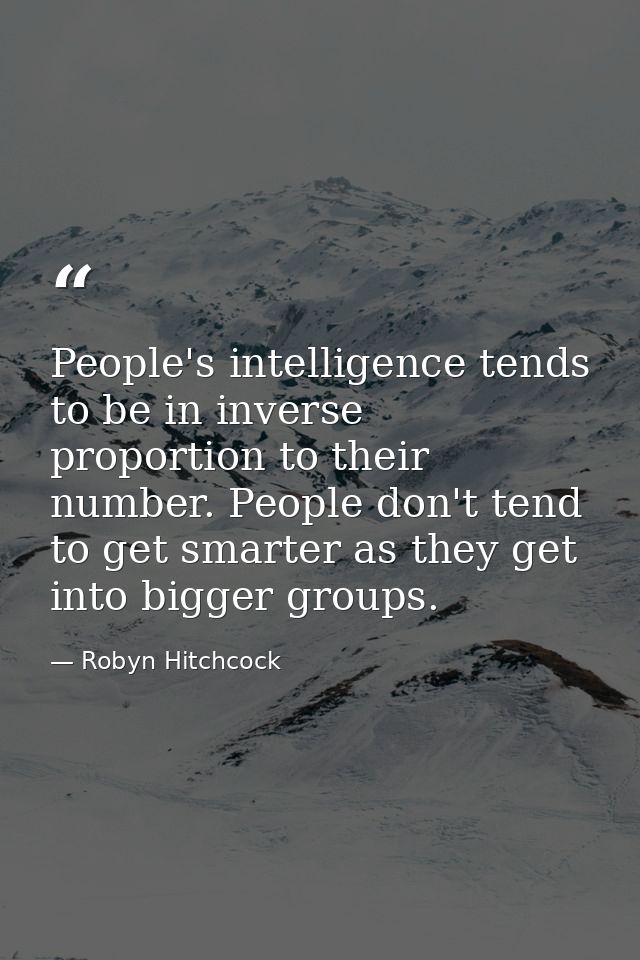 People's intelligence tends to be in inverse proportion to their number. People don't tend to get smarter as they get in — Robyn Hitchcock