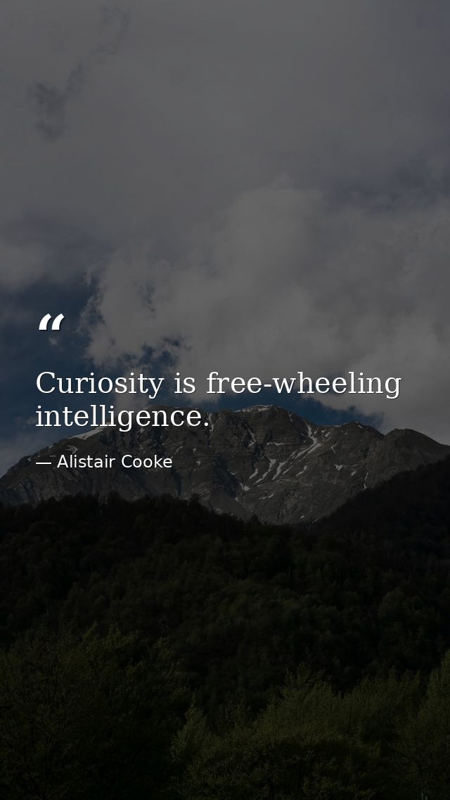 Curiosity is free-wheeling intelligence. — Alistair Cooke