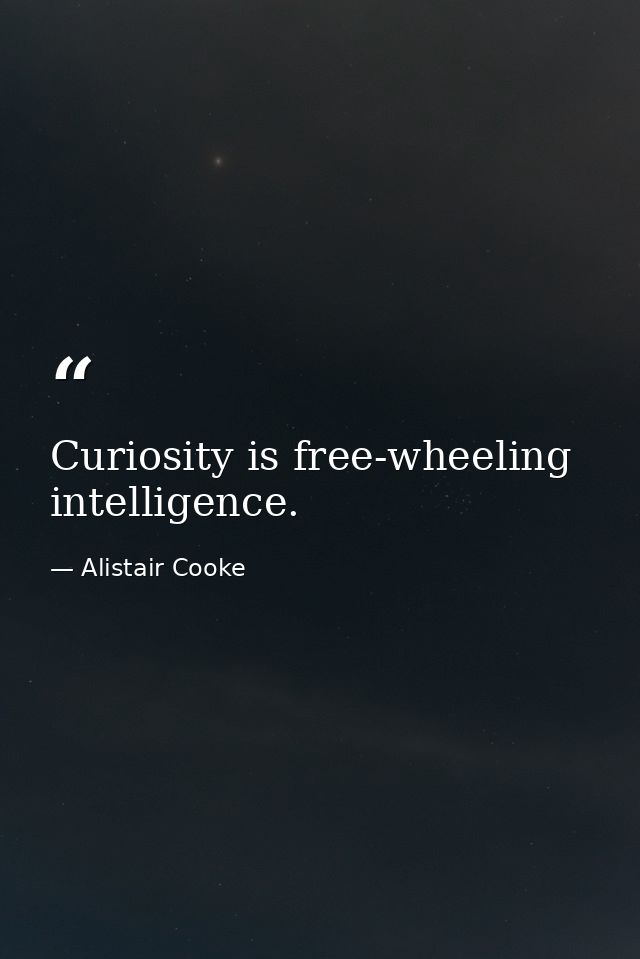 Curiosity is free-wheeling intelligence. — Alistair Cooke