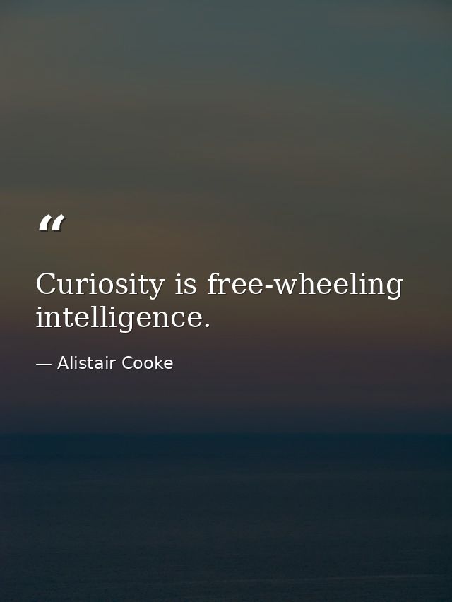 Curiosity is free-wheeling intelligence. — Alistair Cooke