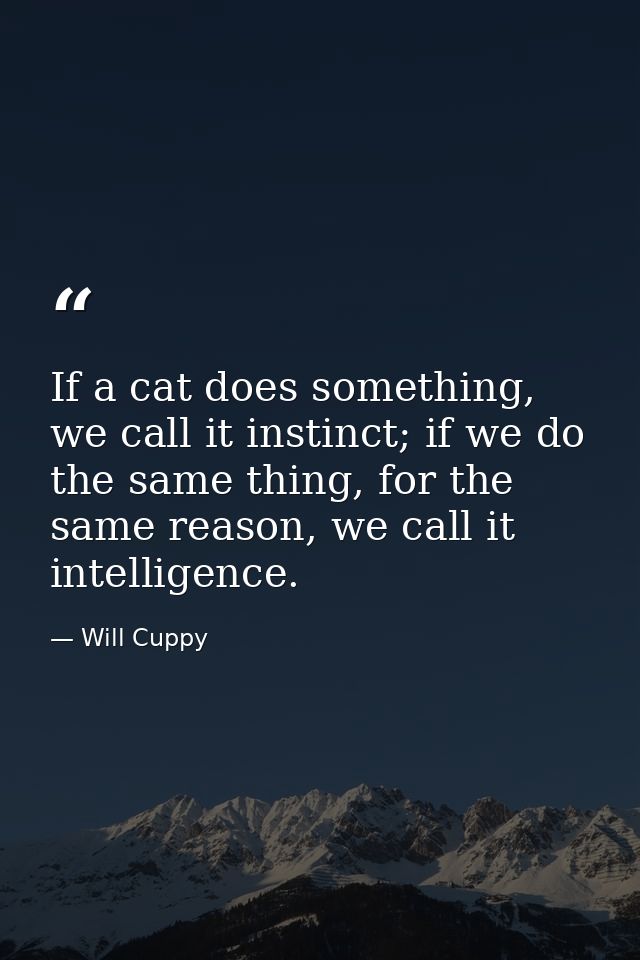 If a cat does something, we call it instinct; if we do the same thing, for the same reason, we call it intelligence. — Will Cuppy