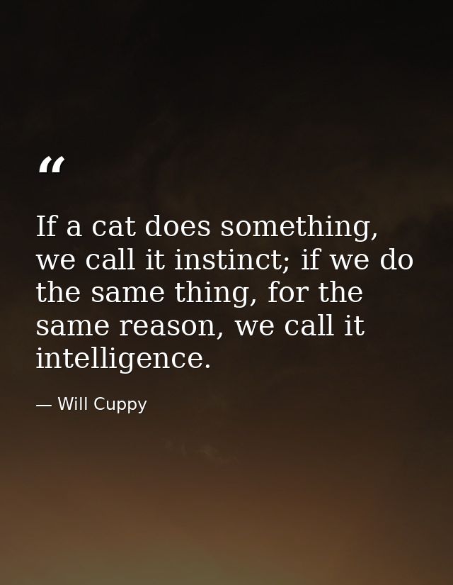 If a cat does something, we call it instinct; if we do the same thing, for the same reason, we call it intelligence. — Will Cuppy
