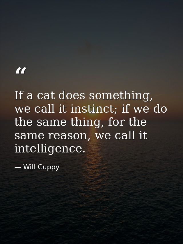 If a cat does something, we call it instinct; if we do the same thing, for the same reason, we call it intelligence. — Will Cuppy