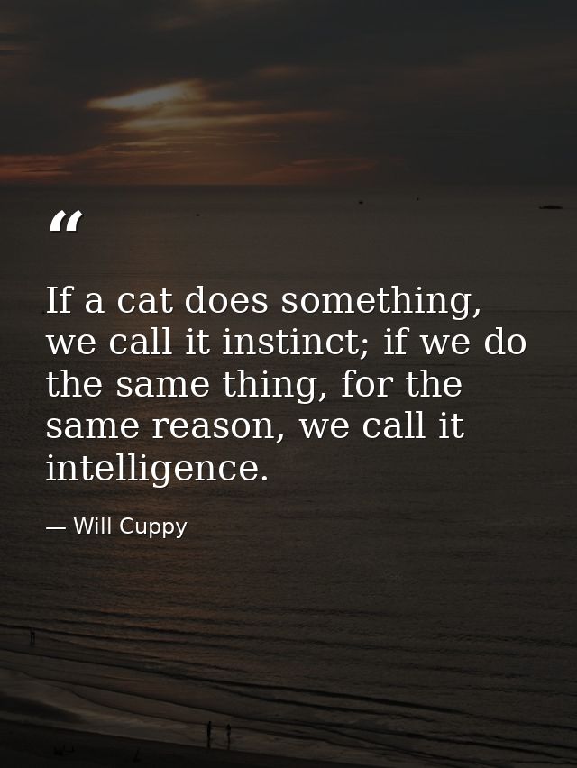 If a cat does something, we call it instinct; if we do the same thing, for the same reason, we call it intelligence. — Will Cuppy