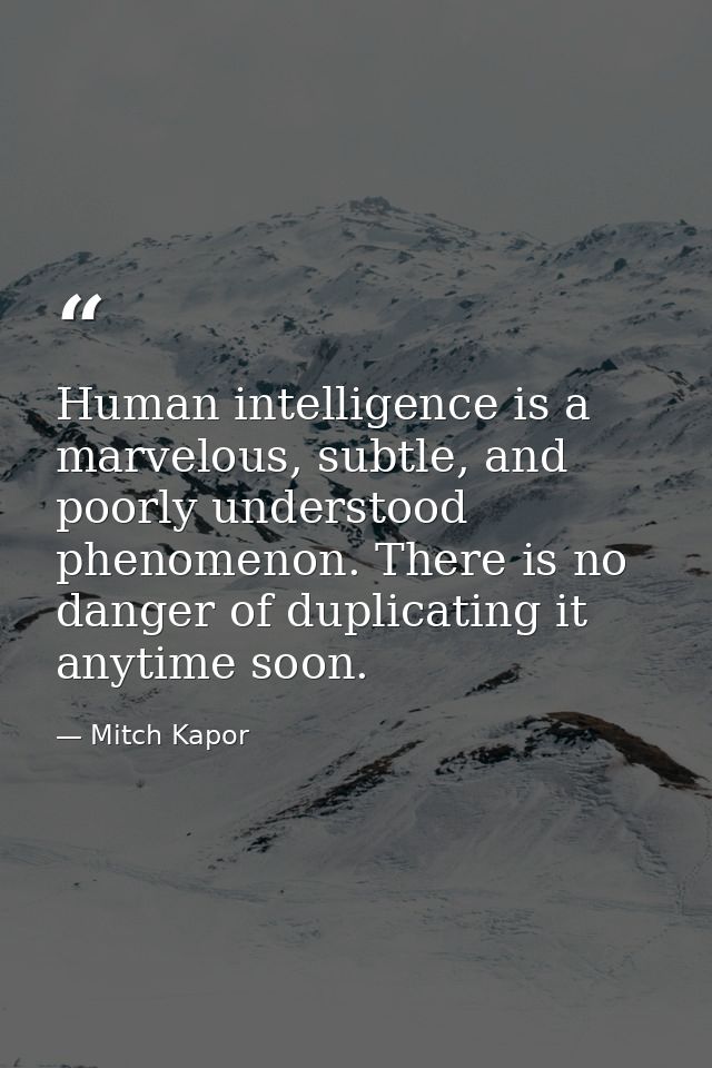Human intelligence is a marvelous, subtle, and poorly understood phenomenon. There is no danger of duplicating it anytim — Mitch Kapor