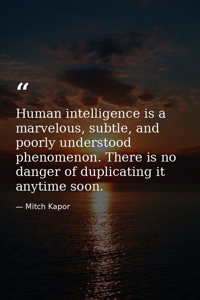 Human intelligence is a marvelous, subtle, and poorly understood phenomenon. There is no danger of duplicating it anytim — Mitch Kapor